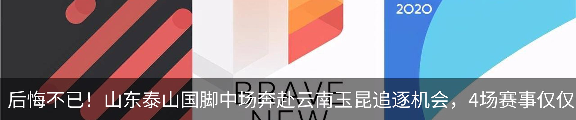 新闻动态