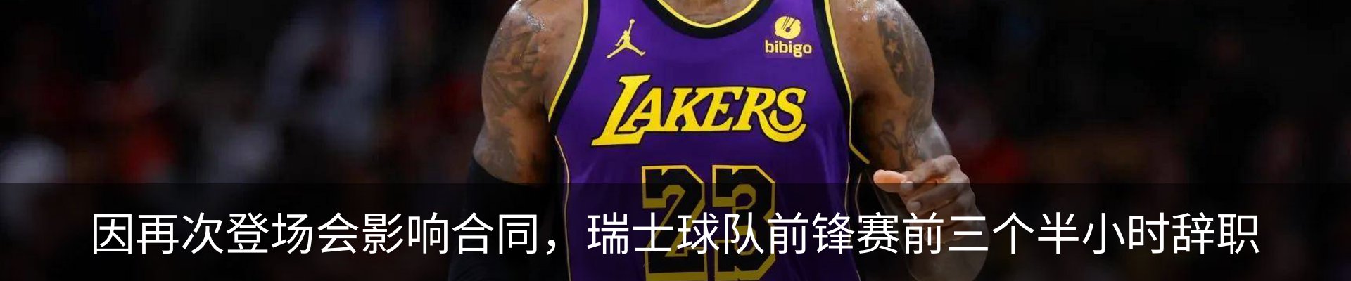 新闻动态