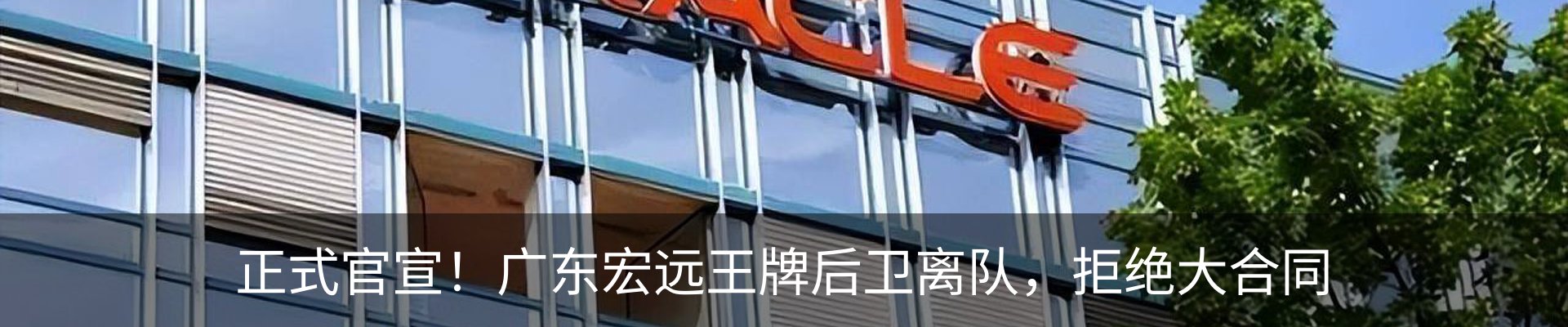 新闻动态