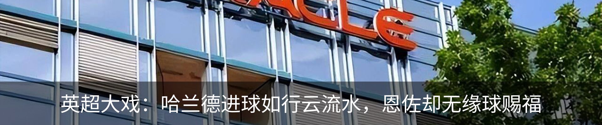新闻动态