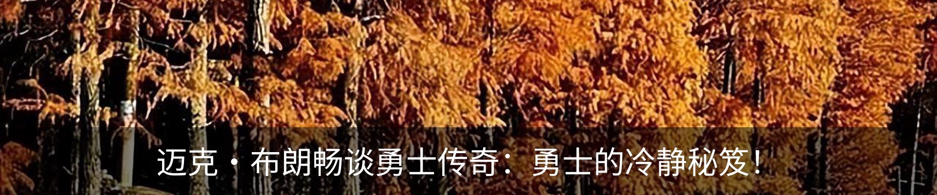 新闻动态